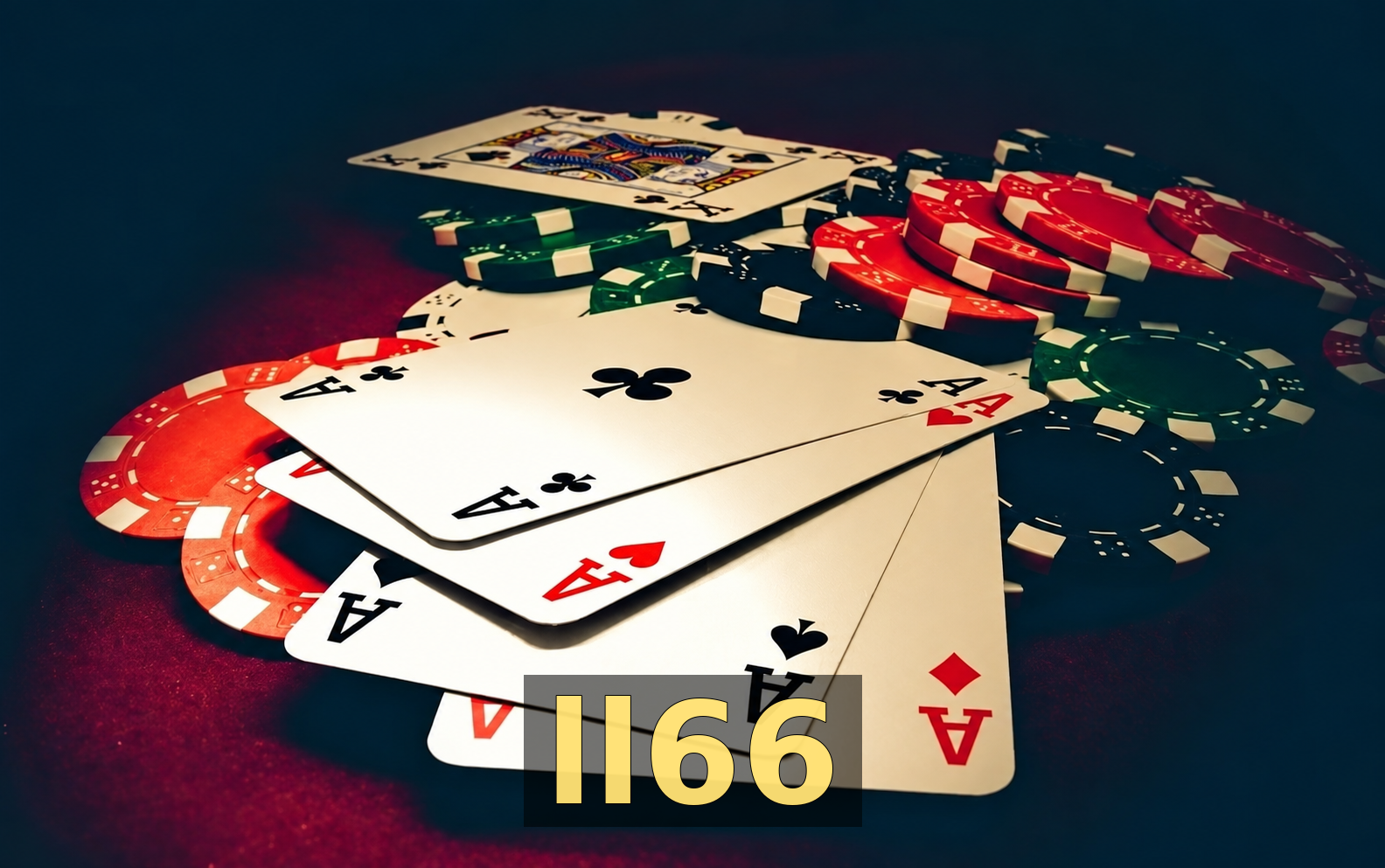 ll66 - Galeria 1